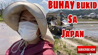 Probensyanang Pinay sa Japan/Filipina Farmer in Japan