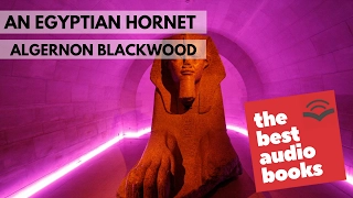 An Egyptian Hornet by Algernon Blackwood - AudioBook Full - Horror Classics AudioBooks