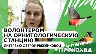 Волонтерство на Ладожской орнитологической станции. Интервью с Верой Рыженковой.