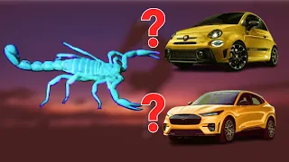 Guess The Car By The Animal | Car Quiz