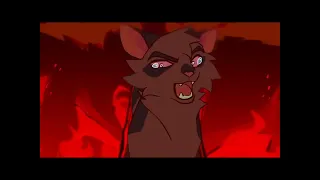 AMV / lgdc / Pelage de granit / warrior cats /Ashfur