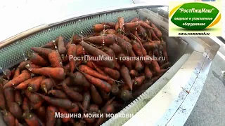 Машина чистки моркови жесткими щетками GB-1000 от РостПищМаш
