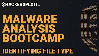 Malware Analysis Bootcamp - File Type Identification