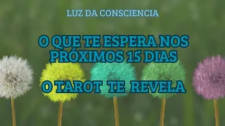 ACONTECIMENTOS próximos 15 dias - Tarot Revela!! 🌟🥰 #consciência #tarot #previsão #baralhocigano