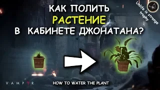 Vampyr. Как полить растение в кабинете. How to water the plant