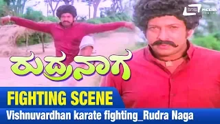 Karate Fighting | Rudra Naga | Vishnuvardhan | Fighting Scene