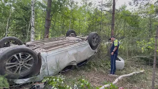 Заяц высочил на дорогу - четверо в больнице