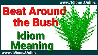 Beat Around the Bush Idiom Meaning