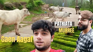 Gaen Se Dar Gaya, Patriata Murree | Tauheed Dehani | Mehran Hashmi