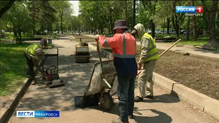 На Амурском бульваре уже прошли катком тысячу «квадратов» и ставят рекорд по высадке цветов