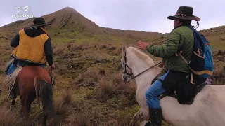 Buscando Caballos Cerreros (Caballos Salvajes) en los Páramos de Colombia | Versión Invierno | 4K