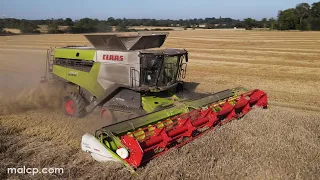 4Kᵁᴴᴰ Harvest 2023:Readhead's Claas Lexion 8700TT cutting wheat on a sunny day in Suffolk