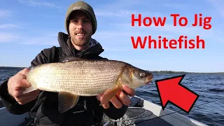 Jigging Whitefish and Lake Trout in Northern Wisconsin