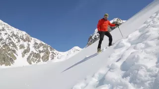 Denali - Sidestep Downhill