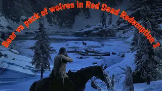 Bear vs pack of wolves in Red Dead Redemption 2