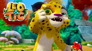 LEO and TIG 🦁 🐯 Lost Inspiration Episodes collection 🕊 Moolt Kids Toons Happy Bear