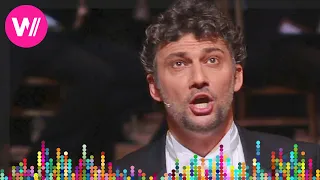 Jonas Kaufmann: Franz Lehár - Dein ist mein ganzes Herz | Opernball 2017