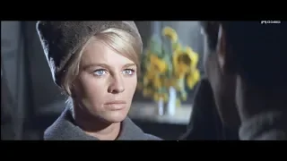 Doctor Zhivago / ドクトル・ジバゴ  -  ララのテーマ　1965