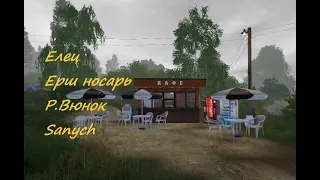 Река Вьюнок фарм / вьюнок и елец / вьюнок и ерш носарь / РР4 / Русская рыбалка 4