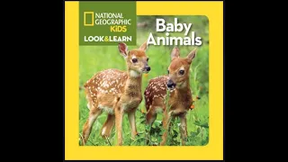 National Geographic Kids Look and Learn: Baby Animals