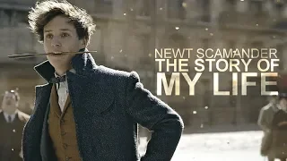 Newt Scamander | The Story of My Life