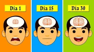 10 Hábitos Diarios que te Harán Más Inteligente 🧠