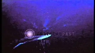 US Army Air Forces fighter strafing Japanese transport underway in the Pacific Th...HD Stock Footage