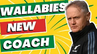 Joe Schmidt Confirmed as New Wallabies Coach