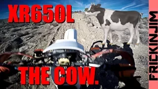 XR650L SHRED (The Cow)