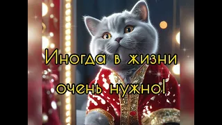 С добрым утром 🌞 Удачного дня ❤️