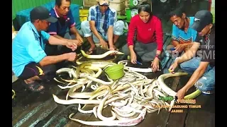 JEJAK PETUALANG | WARISAN ALAM KAMPUNG LAUT (10/07/18) 2-3