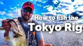 Does the Tokyo Rig Catch Giant Bass?? - How to Fish the Tokyo Rig - Bass Fishing