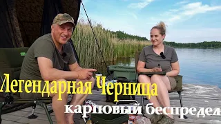 Легендарная Черница.  Карповый беспредел.