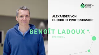 Pioneer of mechanobiology | Humboldt Professor Benoît Ladoux