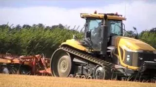 Cat Challenger Cultivating Saturday, 29 August 2009