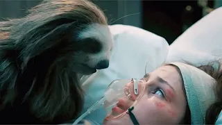 Girl Brought A Cute Sloth To The Hostel, But Soon A Dark Fate Begins To Haunt Her