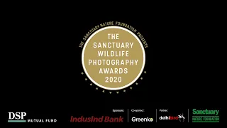 The Sanctuary Wildlife Photography Awards 2020