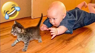 Cute animals Videos Compilation cute moment of the animals - Cutest Animals