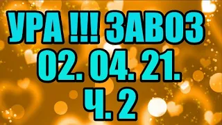 🌸Продажа орхидей. ( Завоз 02.04.21 г.) 2 ч. Отправка только по Украине. ЗАМЕЧТАТЕЛЬНЫЕ КРАСОТКИ👍