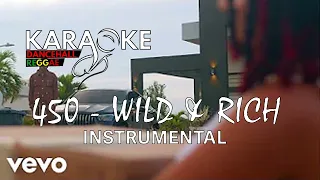 450 - Wild & Rich (Instrumental)