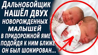 Водитель нашёл двух новорожденных малышей в придорожной яме... Подойдя к ним ближе, он изумился...