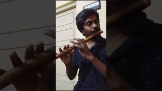 Mouliyil mayilpeeli #flute #nandanam #raveendranmaster  #happyjanamashtami