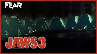 Trapped In A Shark's Mouth! | Jaws 3 | Fear