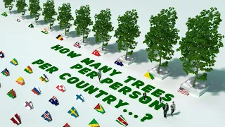 How many trees per person per country I Number of Trees Per Capita by All countries