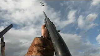 Охота на ГУСЯ,дождались открытие удалось, весна, 10 дней в болоте.goose hunting