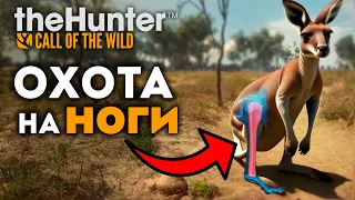 theHunter Call of the Wild - ЧТО ПРОИСХОДИТ? 🤯 Австралия