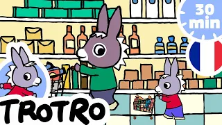 TROTRO - Trotro fait les courses  🛒 | dessin animé | HD |2020