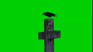 Crow on cross | #Green Screen ATW