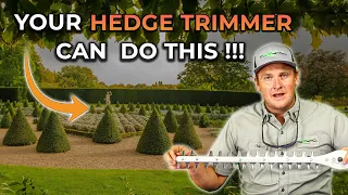 Hedge Trimmer Maintenance - Everything you need to know!