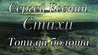 Стихи Сергей Есенин «Топи да болота» Читает: Городинец Сергей